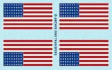Archer Fine Transfers 35009 1/35 American 48 Star Flag (2)