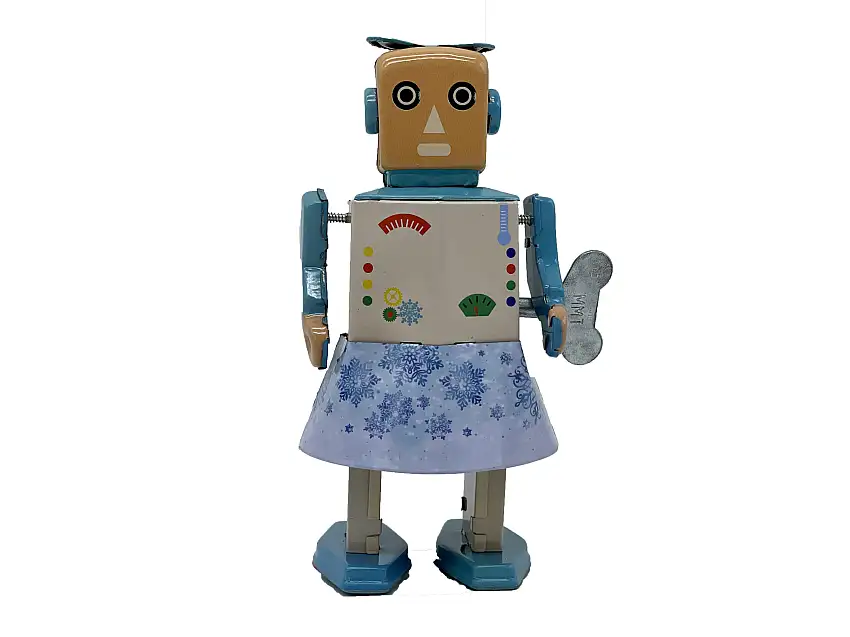 Mr & Mrs Tin Snow Bot