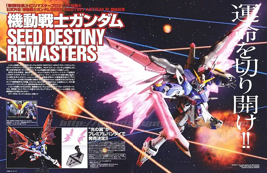 Rg destiny wings of light 1/144