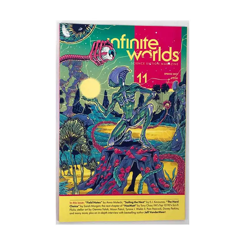 #11 "Field Notes, Soiling the Next, The Hard Choice" (1st Retail Edition)