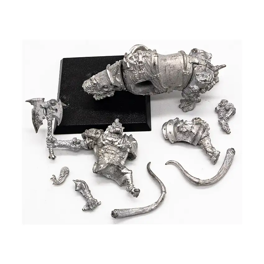 Animist Shaman on Brontops #2