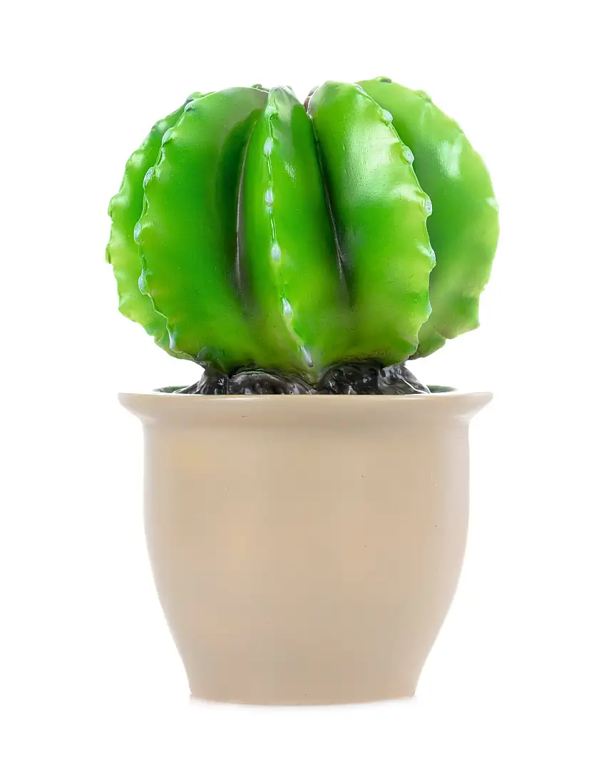Lamp - Cactus In Flower Pot