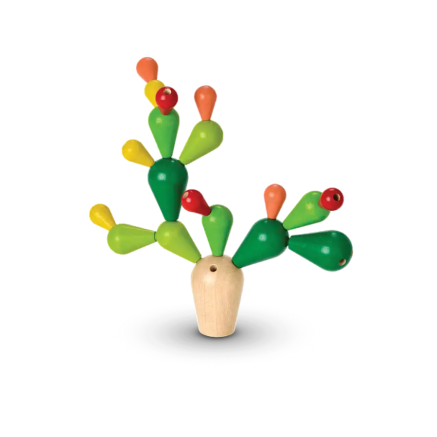 Balancing Cactus