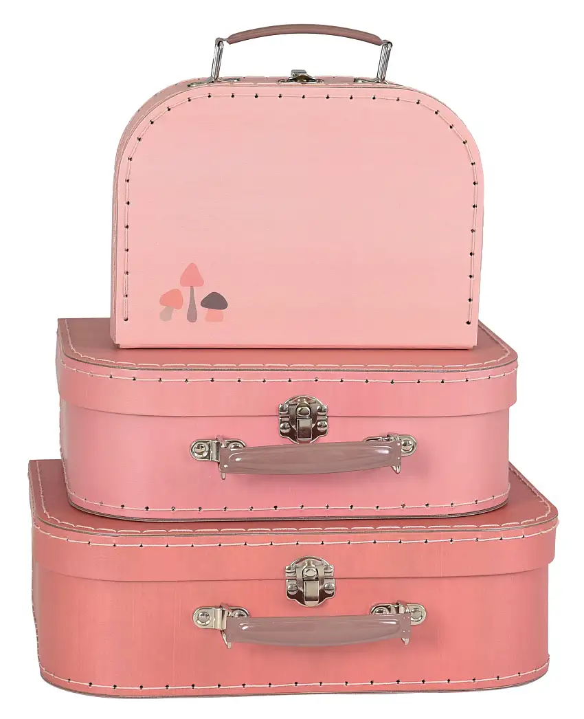 Mushroom Case Set - 3 pieces