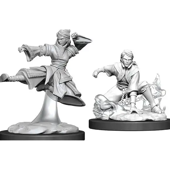 Dungeons & Dragons: Nolzur's Marvelous Unpainted Miniatures - W11 Female Human Monk