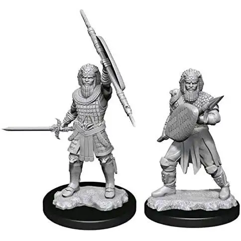 Dungeons & Dragons Nolzur`s Marvelous Unpainted Miniatures: W13 Human Fighter Male