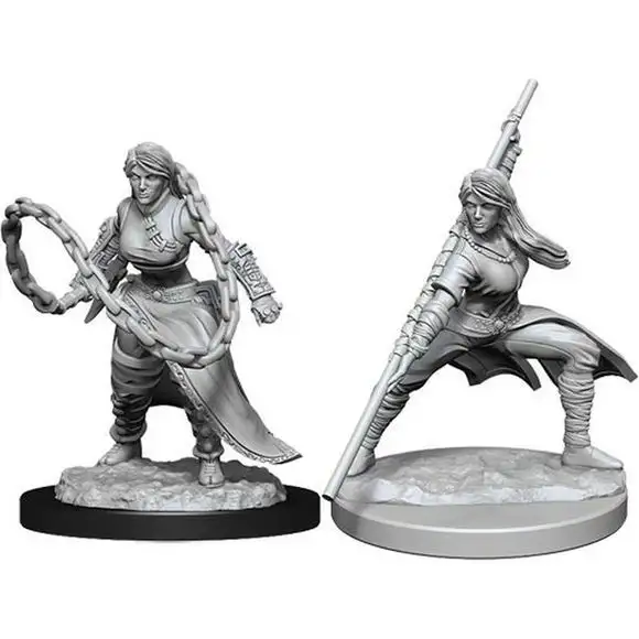 Dungeons & Dragons Nolzur`s Marvelous Unpainted Miniatures: W14 Human Monk Female