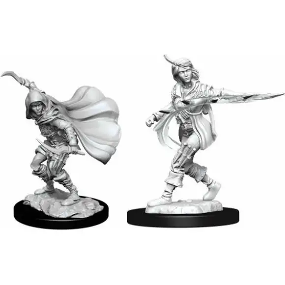Pathfinder Deep Cuts Unpainted Miniatures: W14 Human Rogue Female