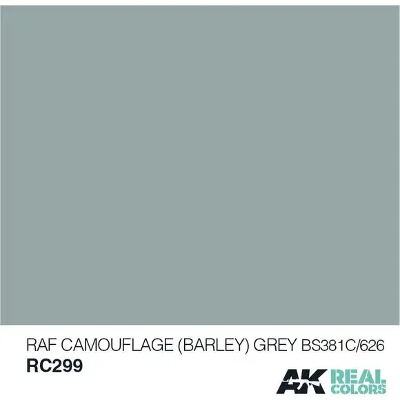 AK Interactive Real Color RAF Camouflage Grey 10ML Acrylic Hobby Paint Bottle