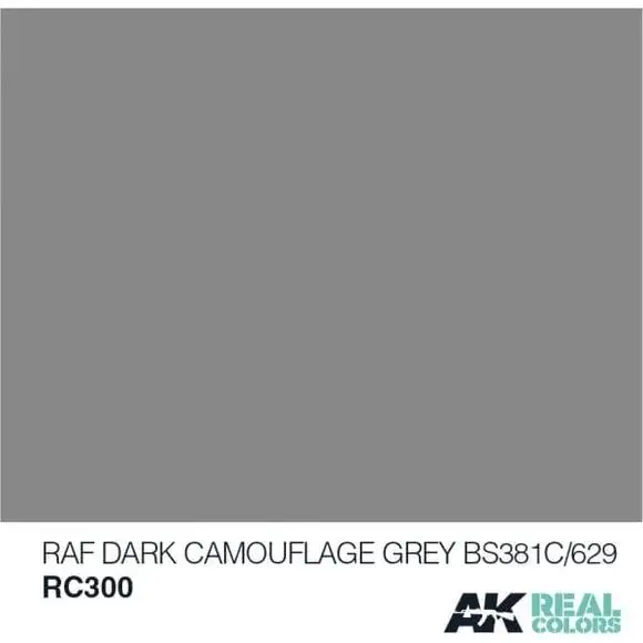AK Interactive Real Color RAF Dark Camouflage Grey 10ML Acrylic Hobby Paint Bottle