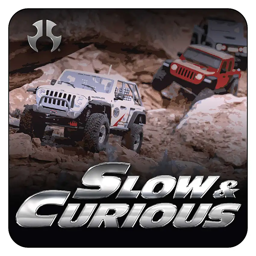 Slow and Curious Sticker