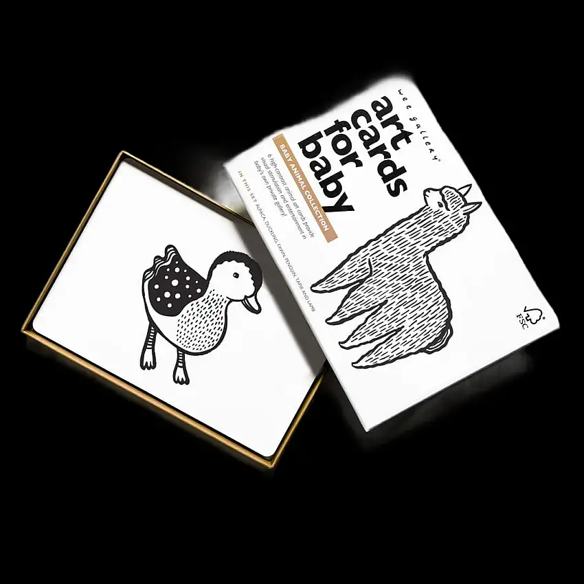 Art Cards For Baby - Baby Animals Collection