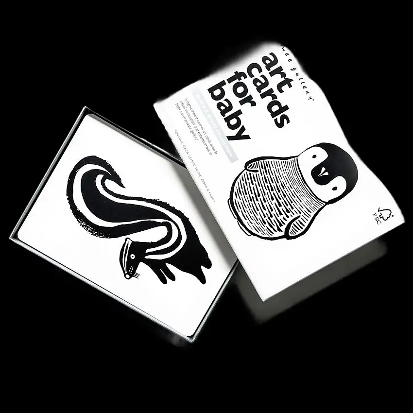 Art Cards For Baby - Black And White Collection