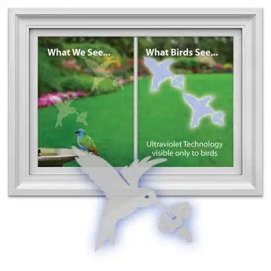 WINDOW ALERT - Hummingbird - Bird Window Collision Decal - (4 per package) (WINDA5)