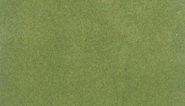 Woodland Scenics 5131 ReadyGrass Mat Spring 33x50