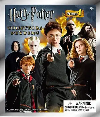 3D Figural Keyring Harry Potter Series 1 Mystery Pack [1 RANDOM Figure]