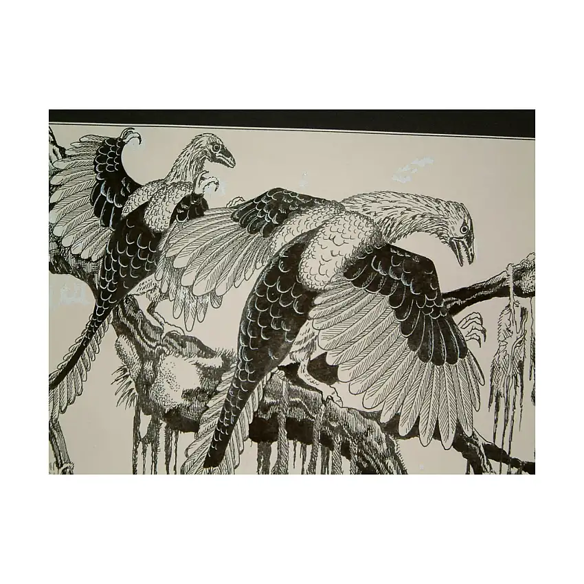 #5 - Archeoteryx - 11" x 7" Original Ink