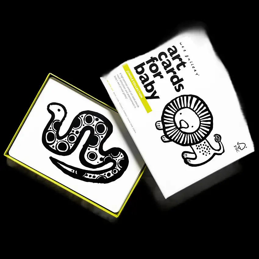 Art Cards For Baby - Jungle Collection