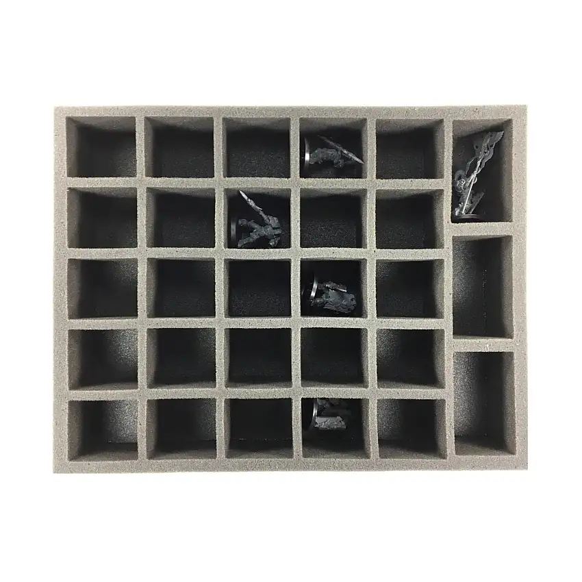 2" Horus Heresy Legio Custodes Troop Foam Tray