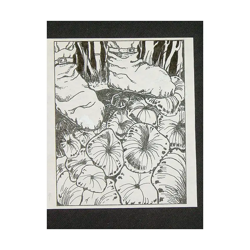 A3 - Black Jelly Oyster - 3.5" x 4" Original Ink