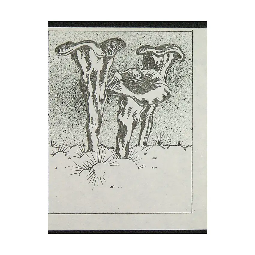 A10 - Black Trumpets - 3.5" x 4" Original Ink