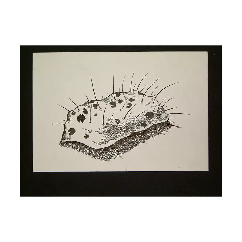 A4 - Deaglu - 5" x 4" Original Ink