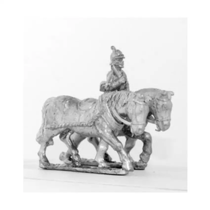 2 Prussian Limber Horses & Driver