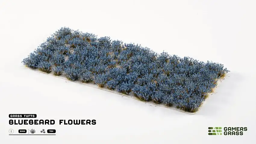 Bluebeard Flowers Tufts (75) Gamers Grass