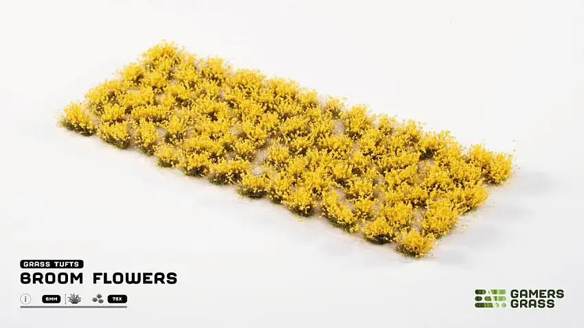 Broom Flowers Tufts (75) Gamers Grass