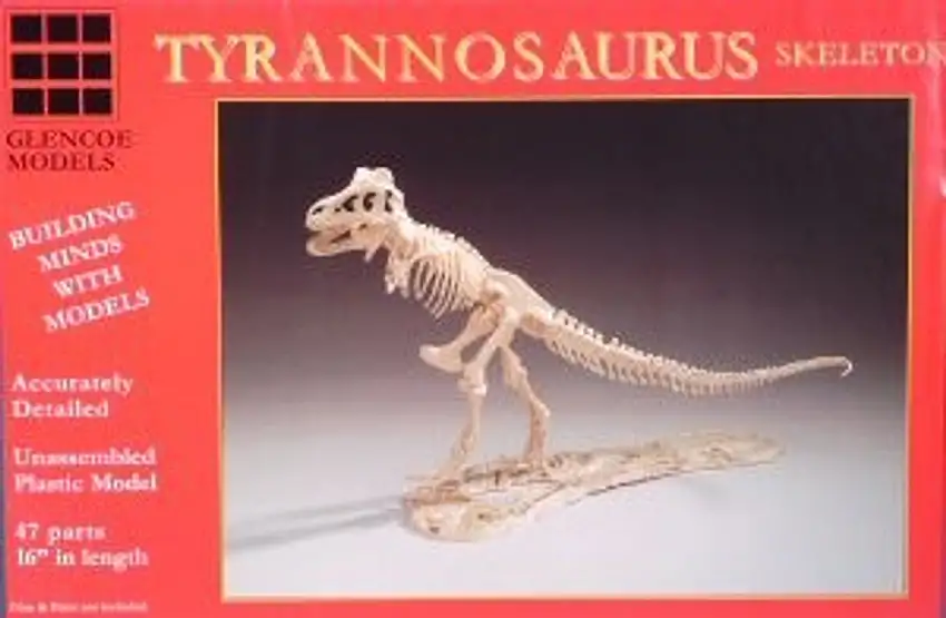 Tyrannosaurus Skeleton 1/25 Glencoe