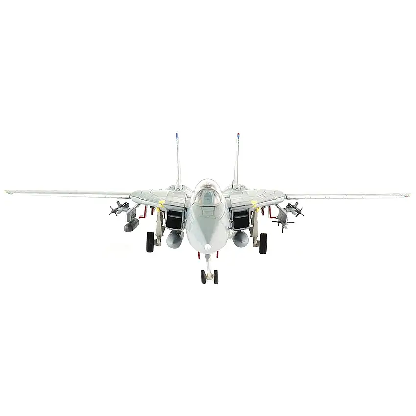 Grumman F-14B Tomcat Fighter Aircraft "OEF VF-143 'Pukin Dogs'" (2002) "Air Power Series" 1/72 Diecast Model by Hobby Master