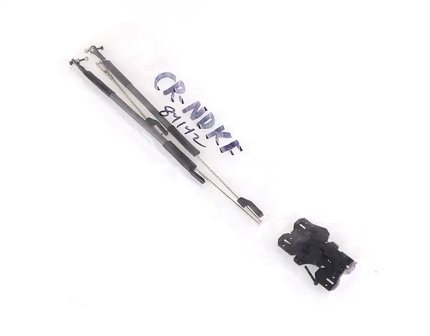 Ritewing Nano Drak Full Carbon Fiber Rod and Control Horn Kit