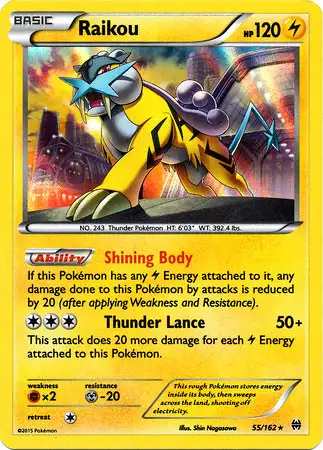Pokemon Trading Card Game XY BREAKthrough Holo Rare Raikou #55