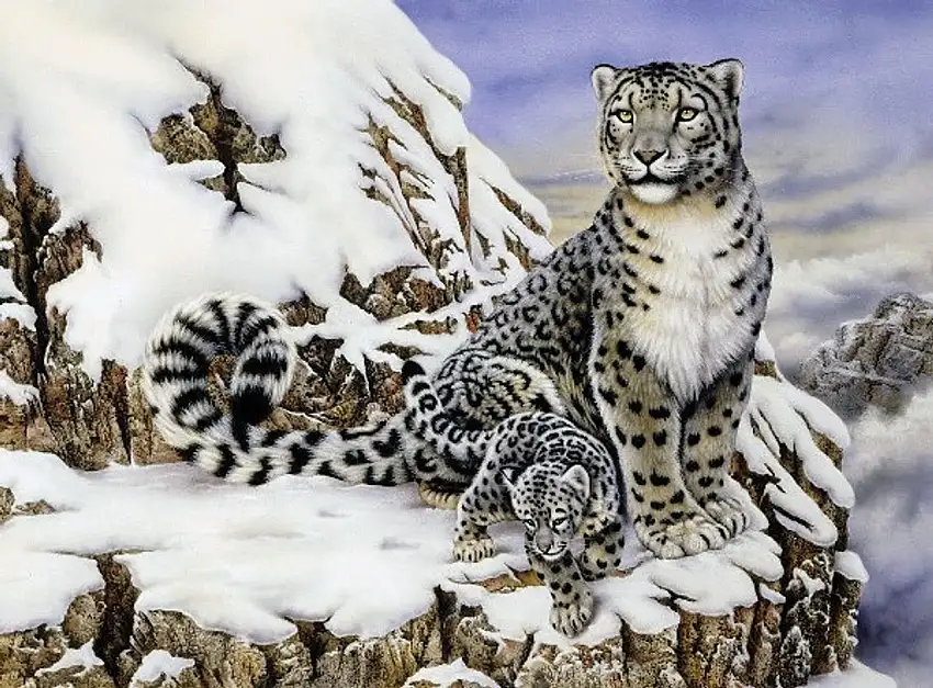 Alpine Royalty (Snow Leopards) Paint by Number Age 8+ (11.25"x15.375") Royal & Langnickel