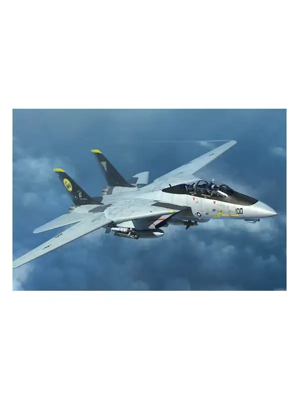 Trumpeter 3919 Grumman F-14D Tomcat 1/144 Scale Plastic Model Kit