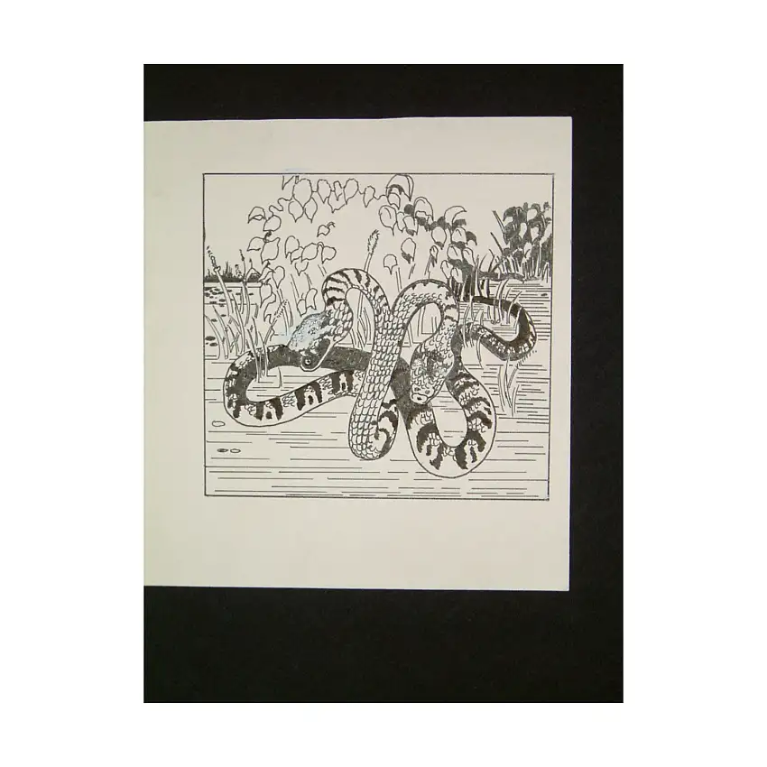 A18 - U'un - 4" x 4" Original Ink