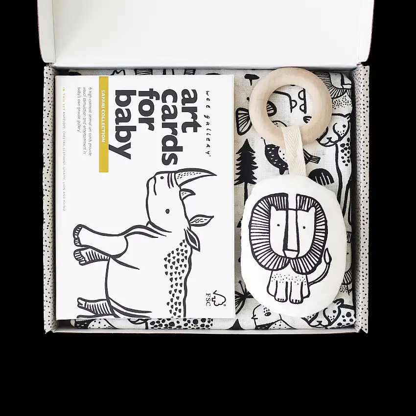 Little Naturalist Gift Set - Safari