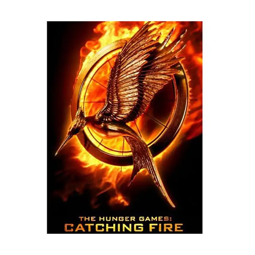 Catching Fire - Gravity Feed Booster Pack (Case - 24 Packs)