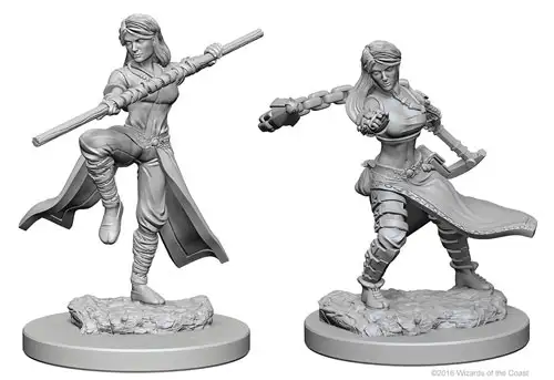 D&D Nolzur's Marvelous Unpainted Minis: W1 Female Human Monk